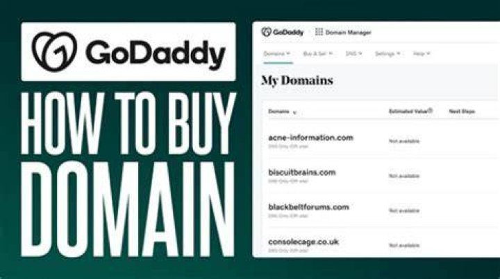 Does GoDaddy own my domain name?
