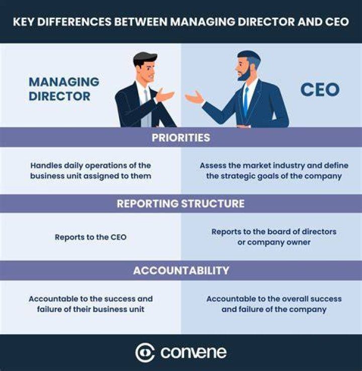 Is a CEO a director?