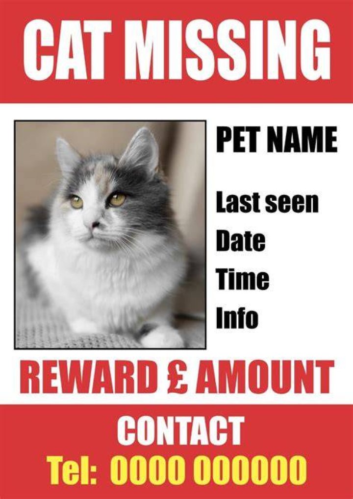Should I offer a reward for my missing cat?