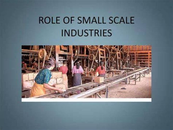 What are the roles of small scale industries?