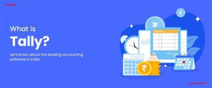 What is Tally and its uses?